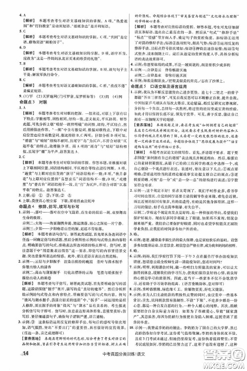 新疆青少年出版社金考卷特快专递2021版中考真题分类训练语文答案 新疆青少年出版社金考卷特快专递2021版中考真题分类训练语文答案