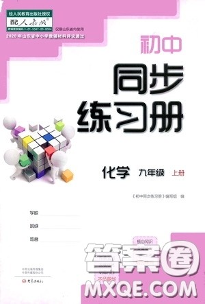 大象出版社2020初中同步练习册九年级化学上册人教版答案