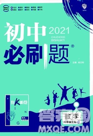 ​开明出版社2021版初中必刷题数学八年级上册HK沪科版答案