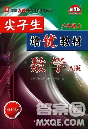 华东师范大学出版社2020尖子生培优教材八年级上册数学人教版A版答案
