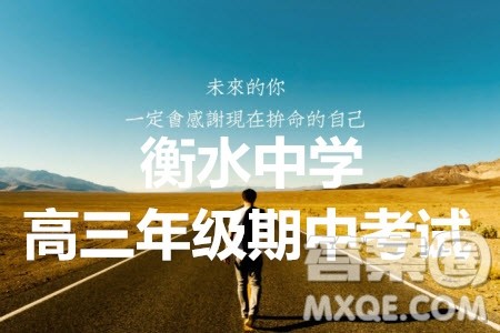 2020年衡水中学高三年级期中考试理科数学试卷及答案