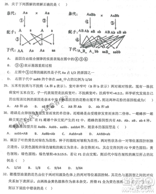 2020年衡水中学高三年级期中考试生物试卷及答案