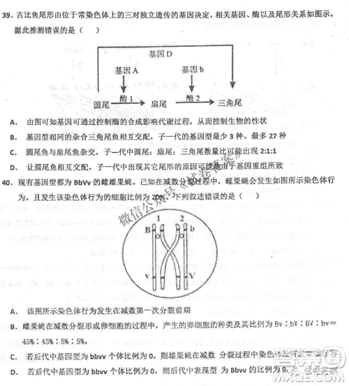 2020年衡水中学高三年级期中考试生物试卷及答案