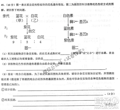 2020年衡水中学高三年级期中考试生物试卷及答案