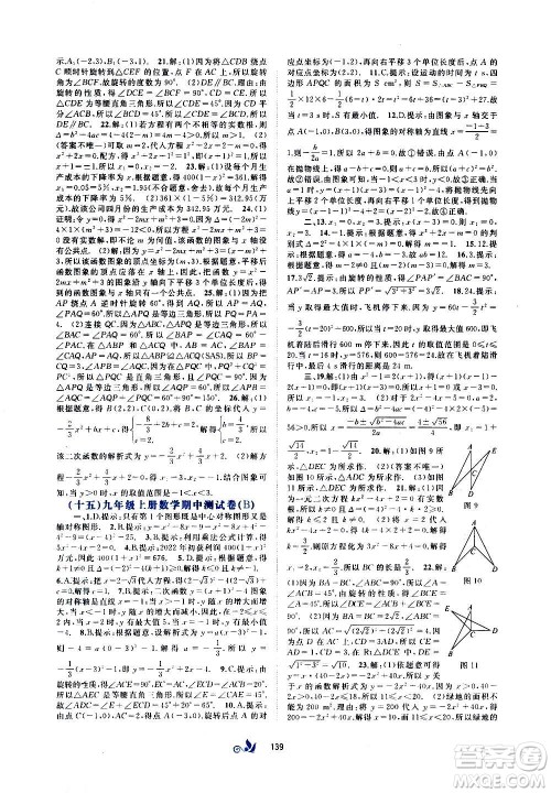 广西教育出版社2020初中新课程学习与测评单元双测数学九年级全一册A版答案