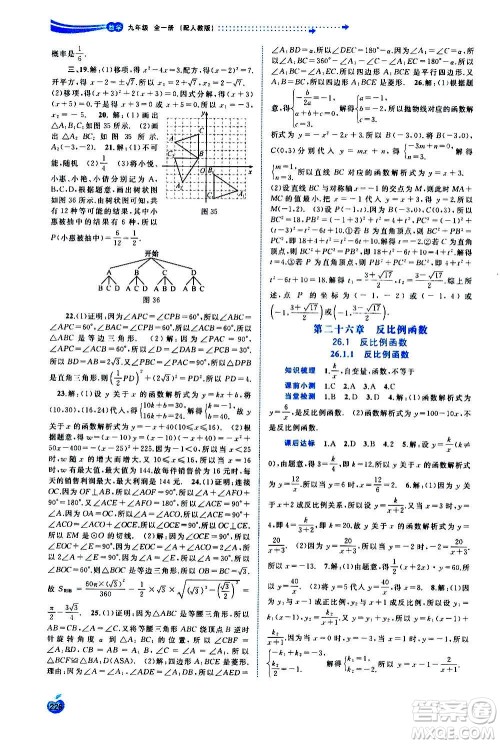 广西教育出版社2020新课程学习与测评同步学习数学九年级全一册人教版答案