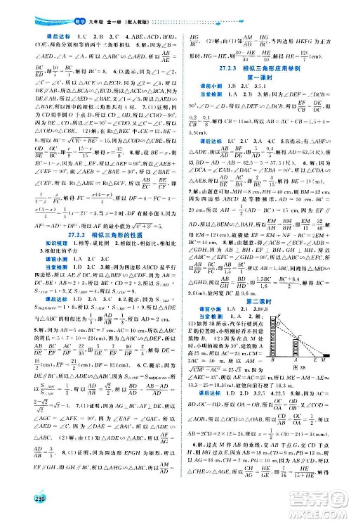 广西教育出版社2020新课程学习与测评同步学习数学九年级全一册人教版答案