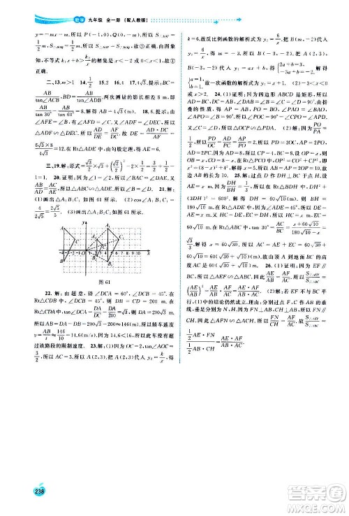 广西教育出版社2020新课程学习与测评同步学习数学九年级全一册人教版答案