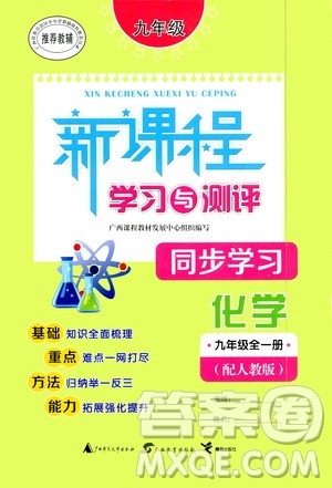 广西教育出版社2020新课程学习与测评同步学习化学九年级全一册人教版答案