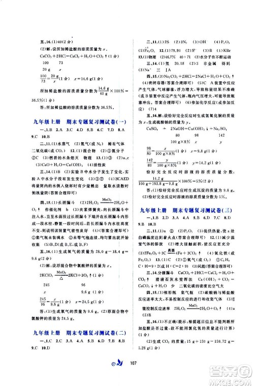 广西教育出版社2020初中新课程学习与测评单元双测化学九年级全一册C版答案