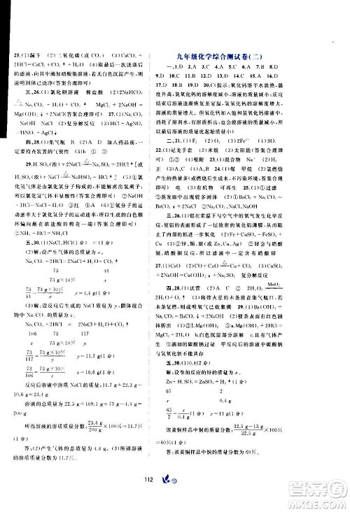 广西教育出版社2020初中新课程学习与测评单元双测化学九年级全一册C版答案