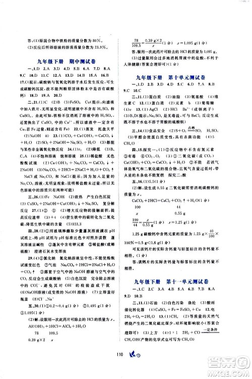 广西教育出版社2020初中新课程学习与测评单元双测化学九年级全一册C版答案