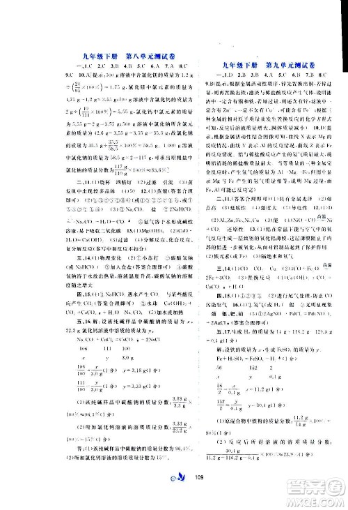 广西教育出版社2020初中新课程学习与测评单元双测化学九年级全一册C版答案