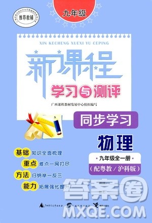 广西教育出版社2020新课程学习与测评同步学习物理九年级全一册粤教沪科版答案