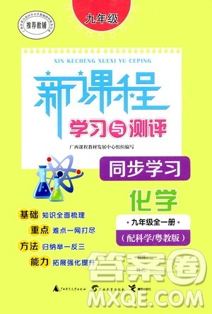 广西教育出版社2020新课程学习与测评同步学习化学九年级全一册科学粤教版答案