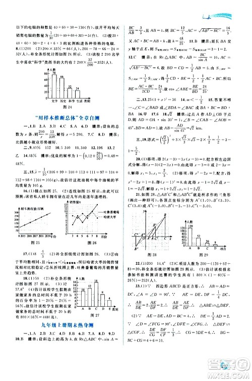广西教育出版社2020新课程学习与测评同步学习数学九年级全一册湘教版答案