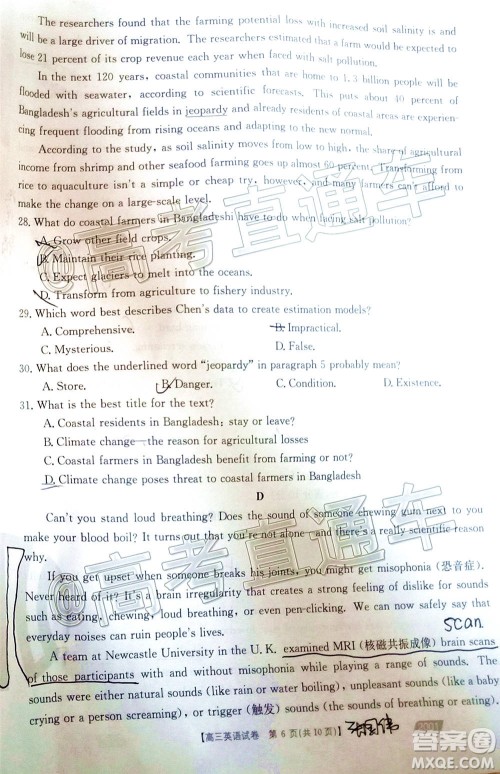 2021届高三金太阳11月联考英语试题及答案