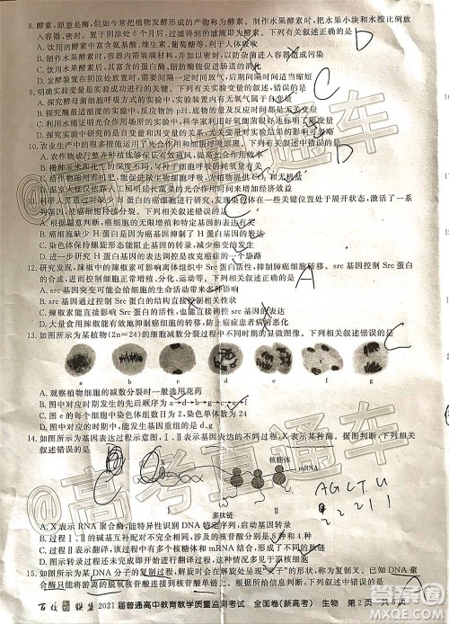 百校联盟2021届普通高中教育教学质量监测考试全国卷新高考生物试题及答案