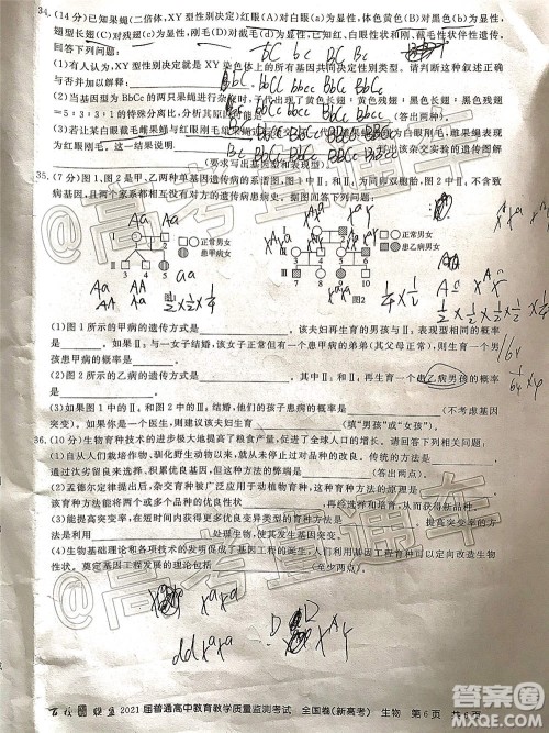 百校联盟2021届普通高中教育教学质量监测考试全国卷新高考生物试题及答案