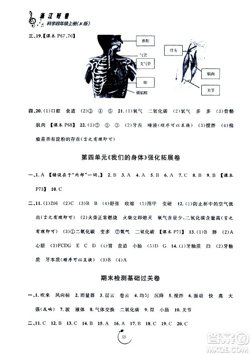 宁波出版社2020年浙江好卷科学四年级上册JK教科版答案