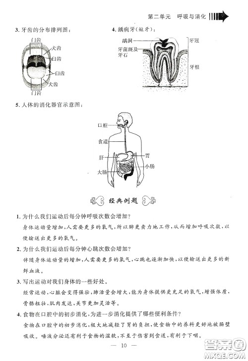 宁波出版社2020迎考复习清单四年级科学上册答案