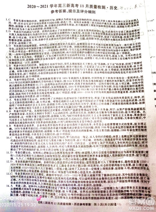 九师联盟2020-2021学年高三11月质量检测新高考历史试题及答案 九师联盟2020-2021学年高三11月质量检测新高考历史试题及答案