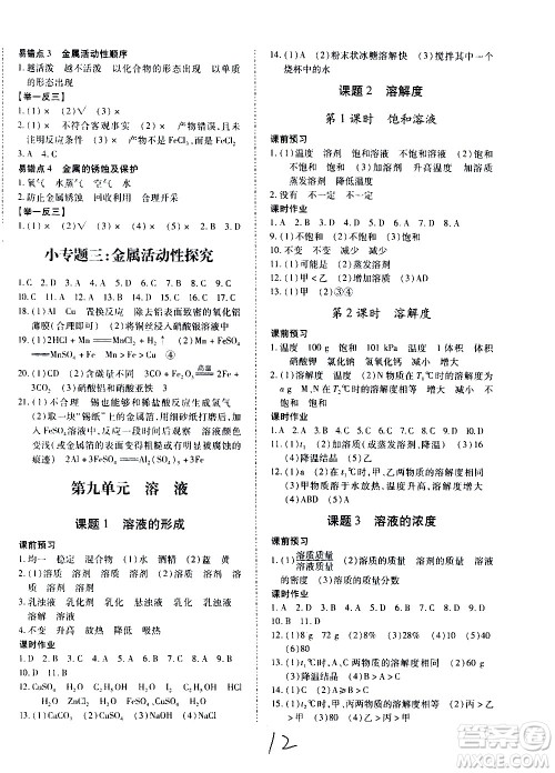 内蒙古少年儿童出版社2020本土攻略化学九年级全一册RJ人教版答案