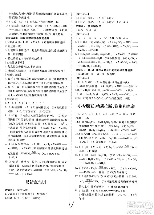 内蒙古少年儿童出版社2020本土攻略化学九年级全一册RJ人教版答案