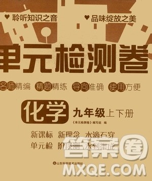 山东科学技术出版社2020单元检测卷化学九年级上下册人教版答案