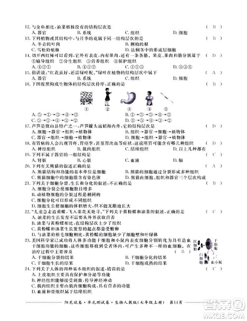 江西高校出版社2020阳光试卷单元测试卷生物七年级上册人教版答案