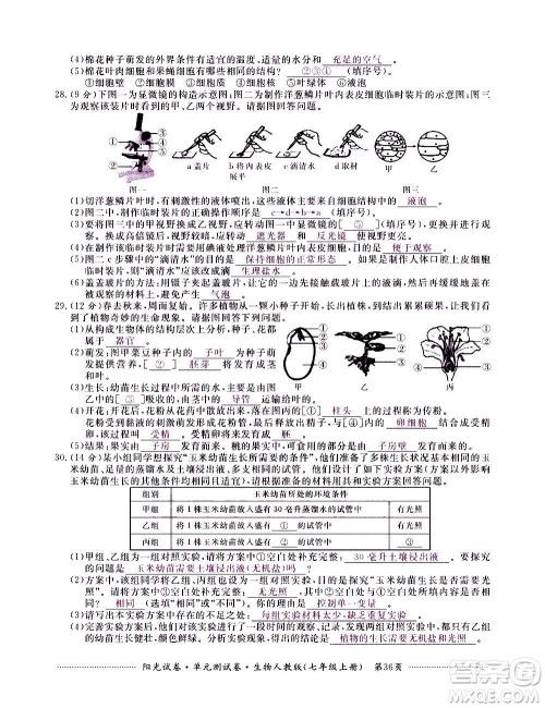 江西高校出版社2020阳光试卷单元测试卷生物七年级上册人教版答案