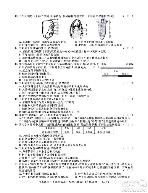 江西高校出版社2020阳光试卷单元测试卷生物七年级上册人教版答案
