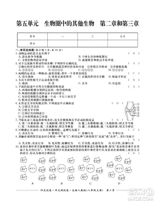 江西高校出版社2020阳光试卷单元测试卷生物八年级上册人教版答案 江西高校出版社2020阳光试卷单元测试卷生物八年级上册人教版答案