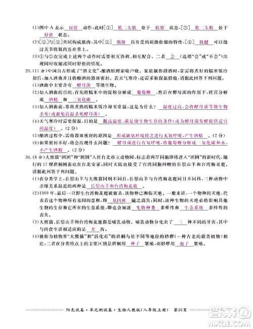 江西高校出版社2020阳光试卷单元测试卷生物八年级上册人教版答案 江西高校出版社2020阳光试卷单元测试卷生物八年级上册人教版答案