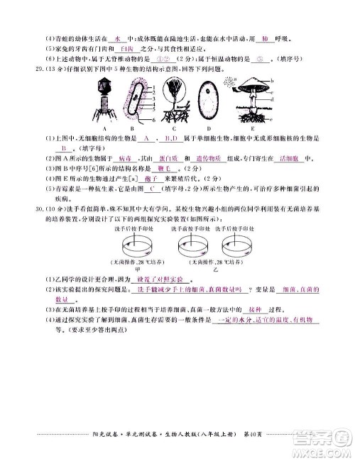 江西高校出版社2020阳光试卷单元测试卷生物八年级上册人教版答案 江西高校出版社2020阳光试卷单元测试卷生物八年级上册人教版答案