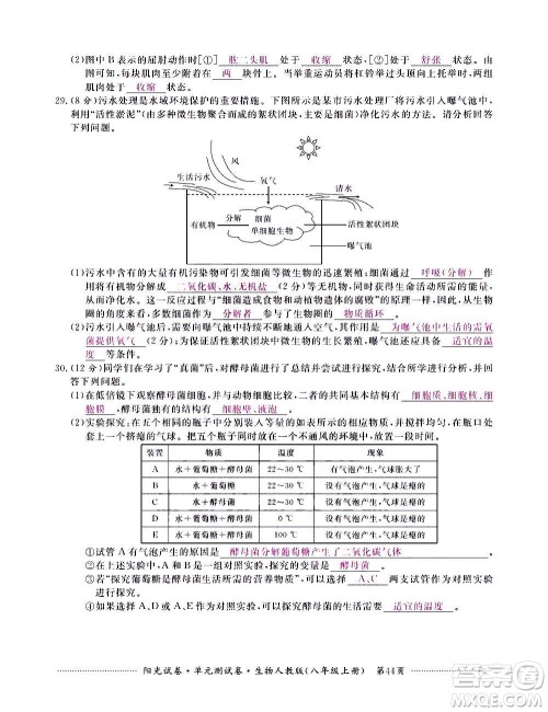 江西高校出版社2020阳光试卷单元测试卷生物八年级上册人教版答案 江西高校出版社2020阳光试卷单元测试卷生物八年级上册人教版答案