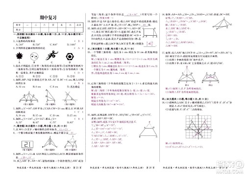 江西高校出版社2020阳光试卷单元测试卷数学八年级上册人教版答案