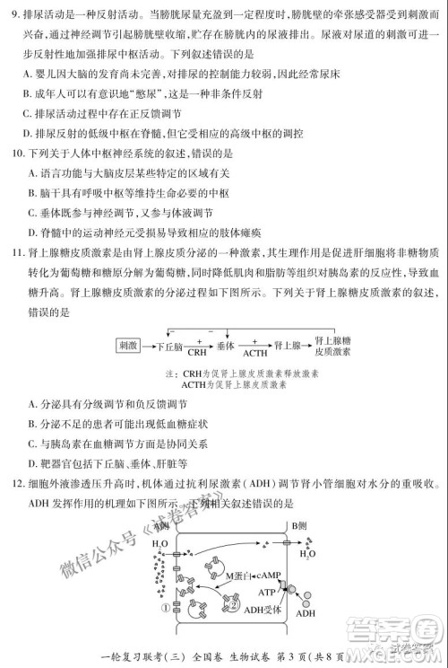 百师联盟2021届高三一轮复习联考三全国卷生物试题及答案