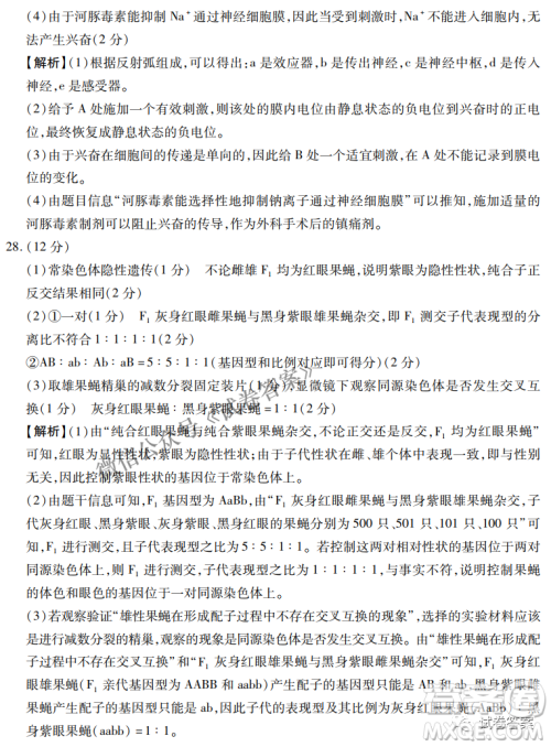 百师联盟2021届高三一轮复习联考三全国卷生物试题及答案