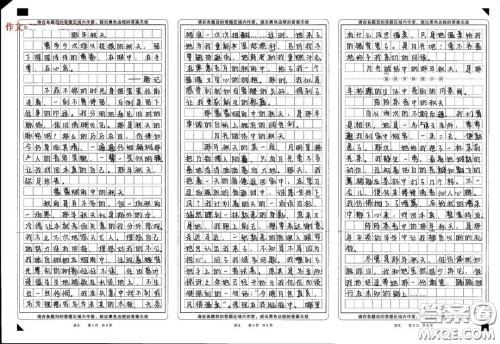 那年秋天为题记叙文作文800字 关于那年秋天为题的记叙文作文800字