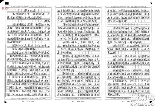 那年秋天为题记叙文作文800字 关于那年秋天为题的记叙文作文800字