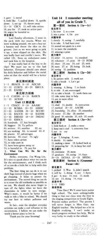 新疆文化出版社2020年351高效课堂导学案九年级全一册英语人教版答案