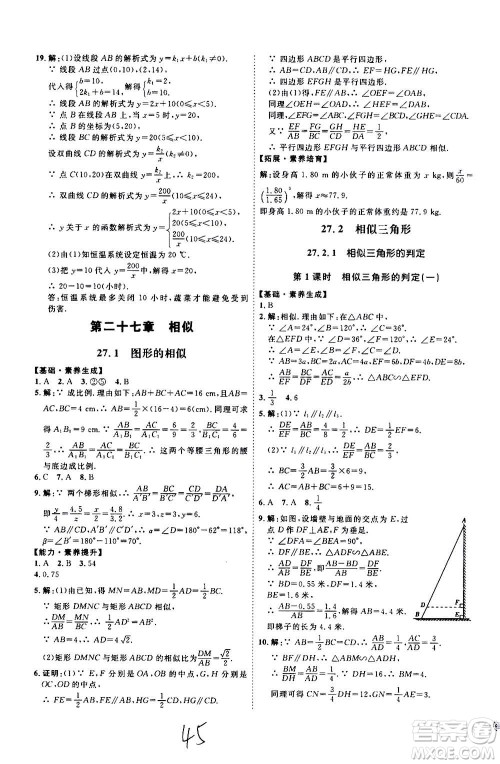 延边教育出版社2020优学案课时通数学九年级全一册RJ人教版云南专用答案