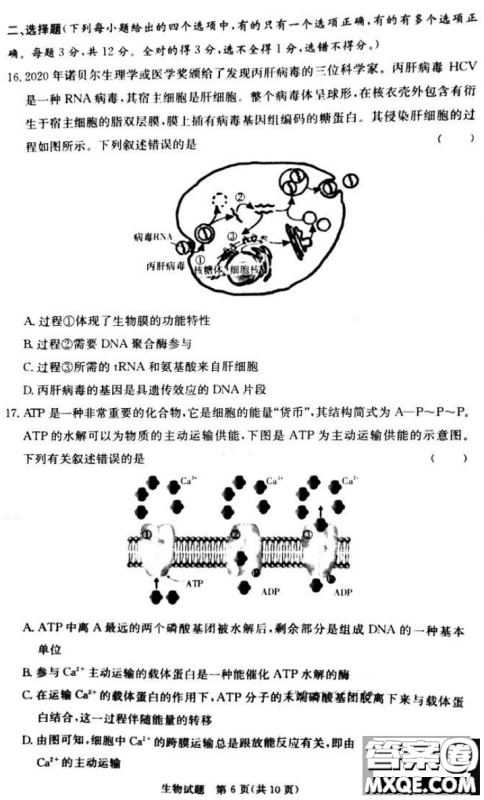 炎德英才大联考联合体2020年高三12月联考生物试题及答案 炎德英才大联考联合体2020年高三12月联考生物试题及答案