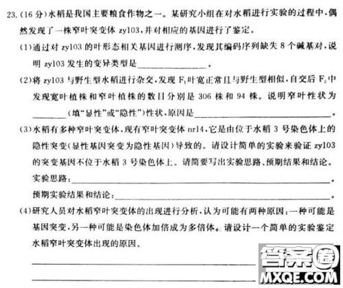 炎德英才大联考联合体2020年高三12月联考生物试题及答案 炎德英才大联考联合体2020年高三12月联考生物试题及答案