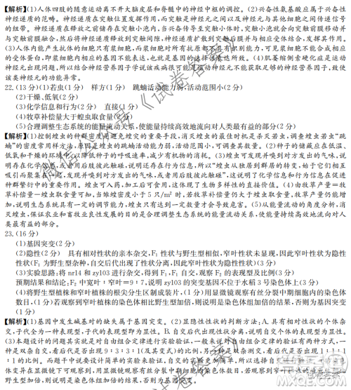 炎德英才大联考联合体2020年高三12月联考生物试题及答案 炎德英才大联考联合体2020年高三12月联考生物试题及答案