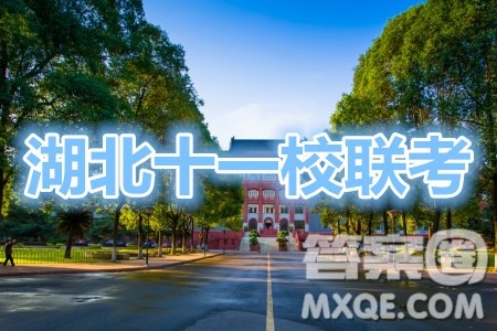 2021届高三湖北十一校第一次联考数学试题及答案 2021届高三湖北十一校第一次联考数学试题及答案