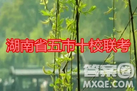 湖南省五市十校2020年下学期高三年级第二次大联考语文试题及答案