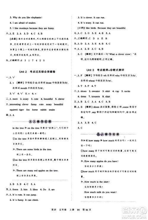 江西人民出版社2020秋王朝霞考点梳理时习卷英语五年级上册BS北师版答案 江西人民出版社2020秋王朝霞考点梳理时习卷英语五年级上册BS北师版答案