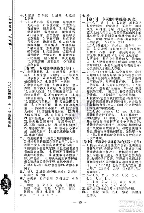 吉林人民出版社2020小学教材完全考卷五年级语文上册新课标人教版答案 吉林人民出版社2020小学教材完全考卷五年级语文上册新课标人教版答案
